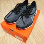 Nike Pegasus Turbo 2