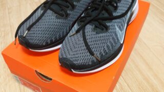Nike Pegasus Turbo 2