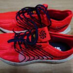 ペガサスターボネクストネイチャー Nike Pegasus Turbo Next Nature