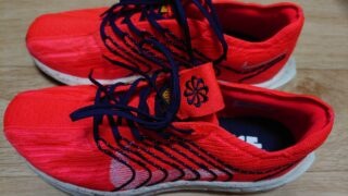 ペガサスターボネクストネイチャー Nike Pegasus Turbo Next Nature